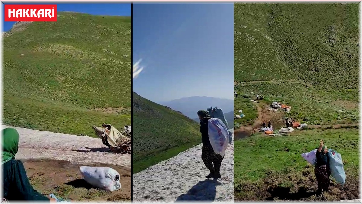 Hakkari Özel İdare, yayla yolu için harekete geçti