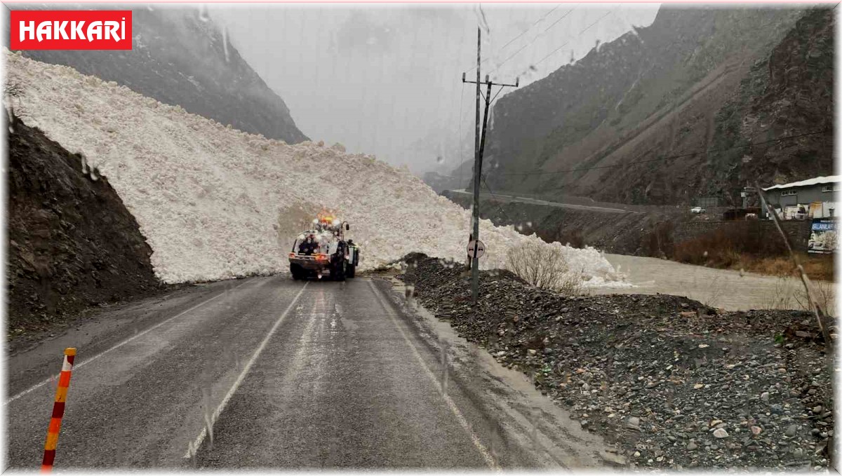 Hakkari-Şırnak yoluna çığ indi