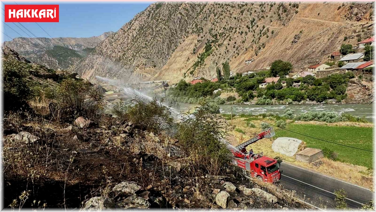 Hakkari-Van kara yolu yakınında anız yangını