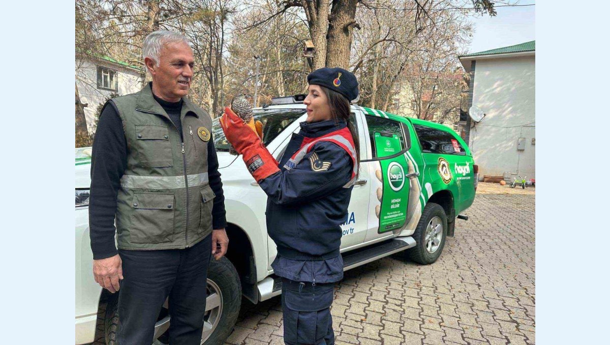 HAYDİ ekibi tarafından bulunan yaralı atmaca DKMP'ye teslim edildi