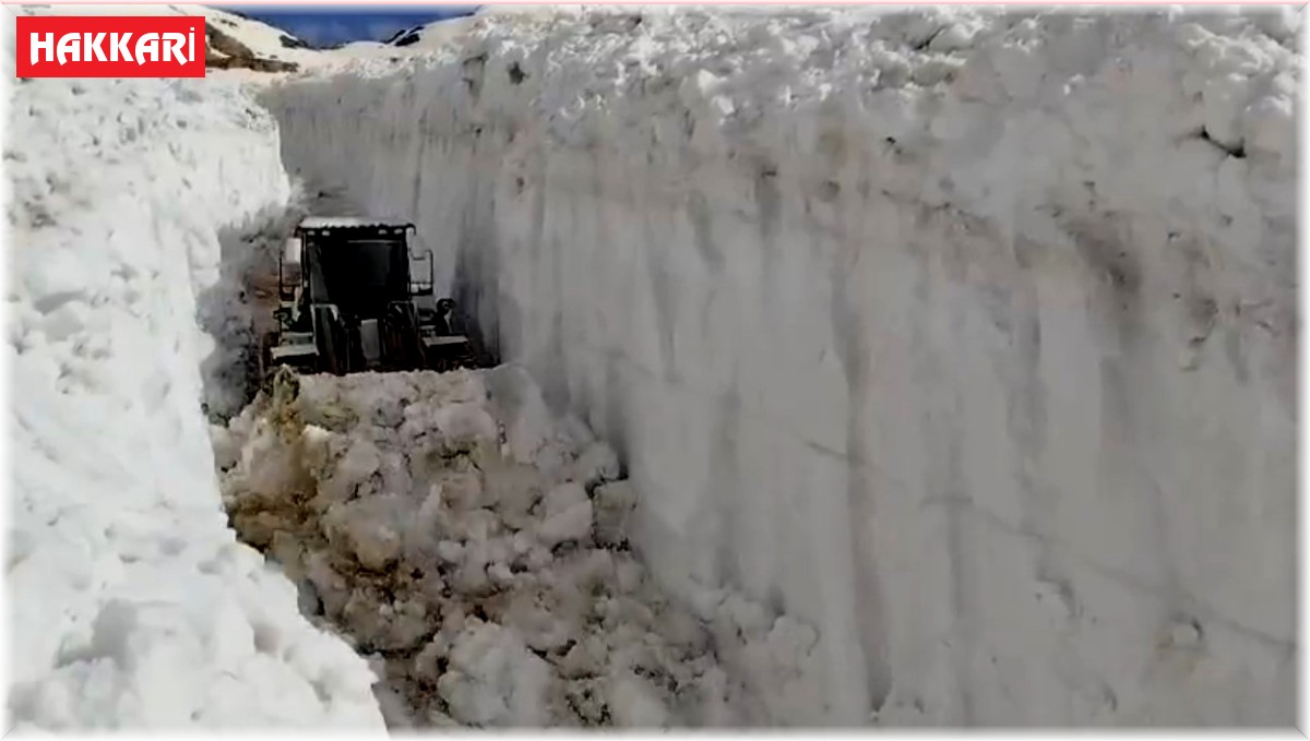 Haziran ayında 6 metreyi bulan karda yol açma çalışması