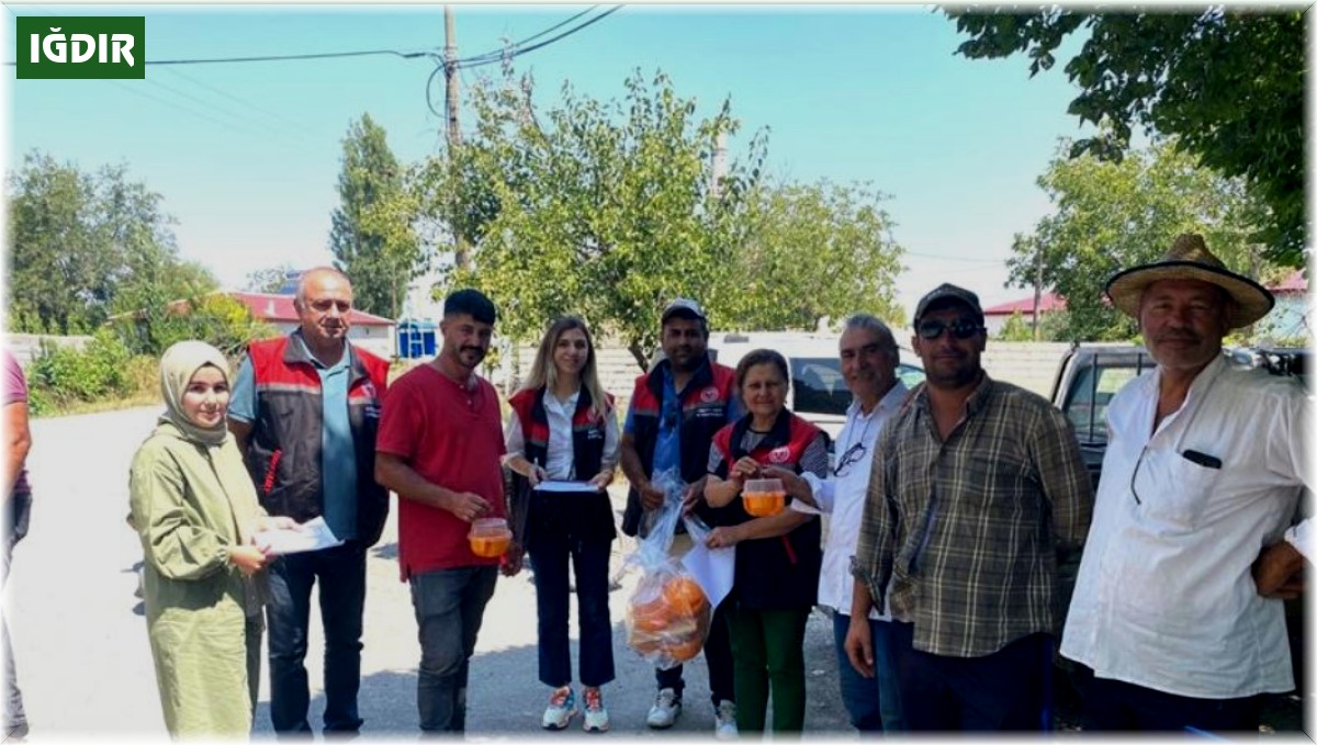 Iğdır'da Akdeniz meyve sineği ile mücadele devam ediyor