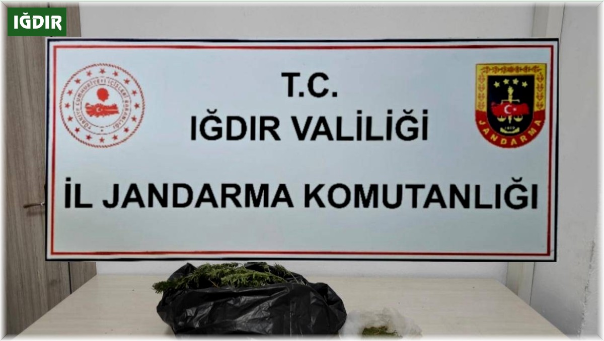 Iğdır İl Jandarma Komutanlığı'ndan kaçakçılık operasyonu: Uyuşturucu madde ele geçirildi