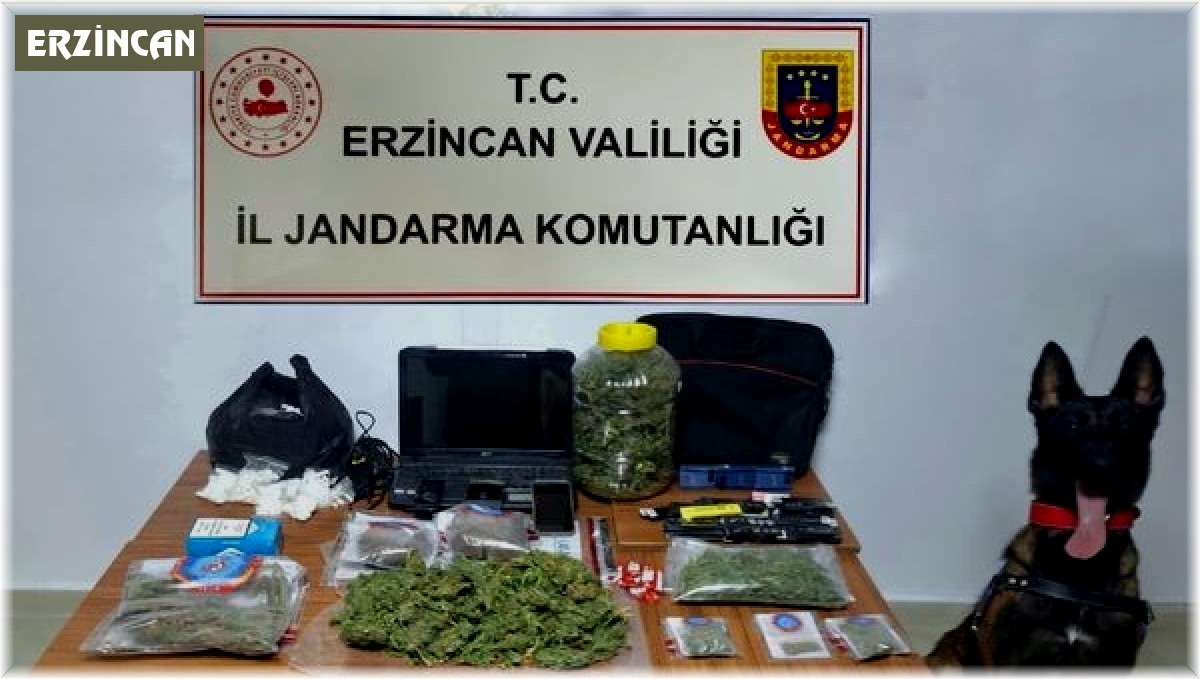 Jandarma ekipleri Erzincan'da uyuşturucuya geçit vermiyor