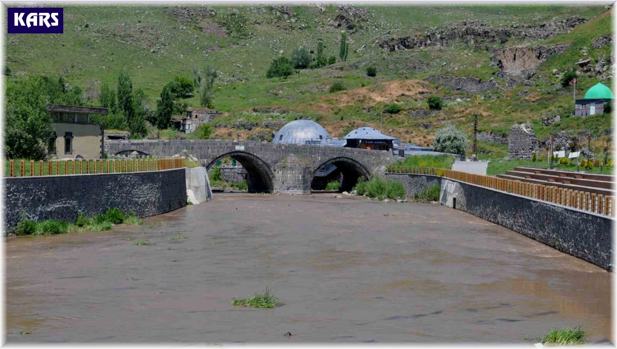 Kars Çayı'nın rengi değişti