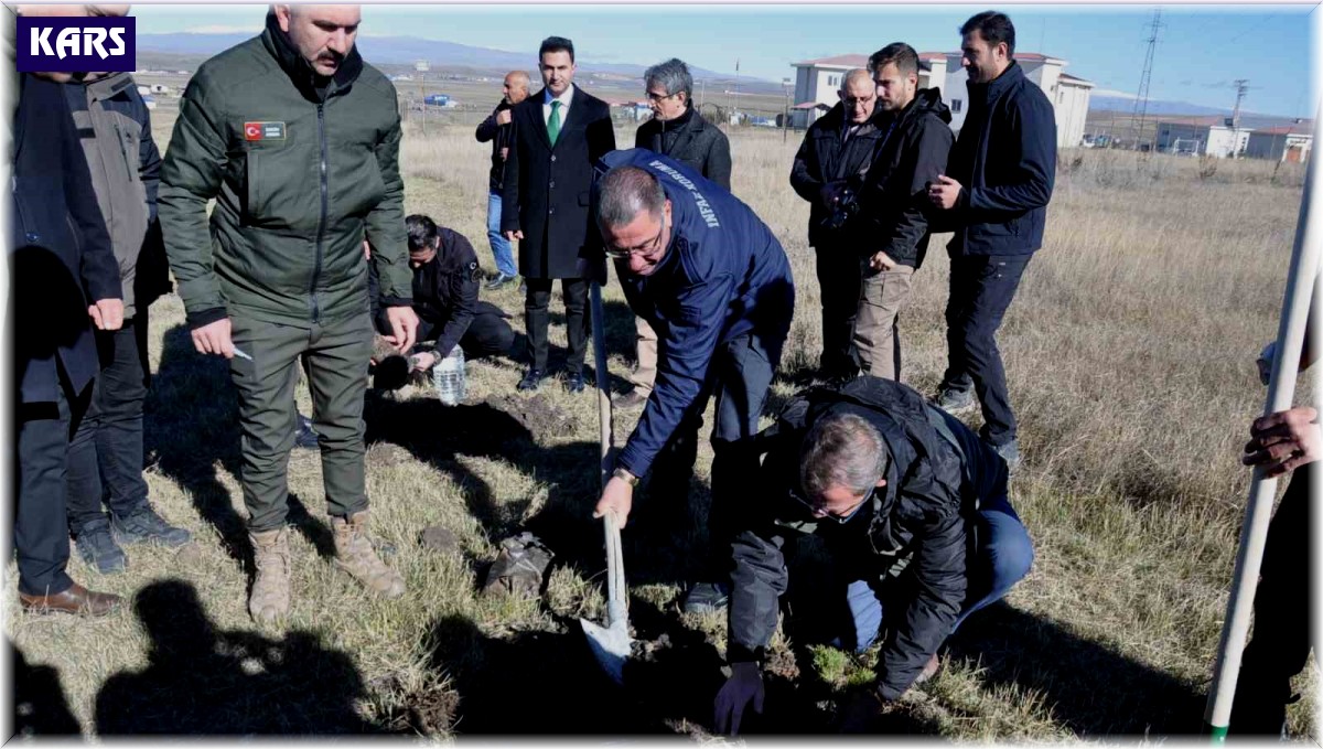 Kars'ta fidanlar toprakla buluştu