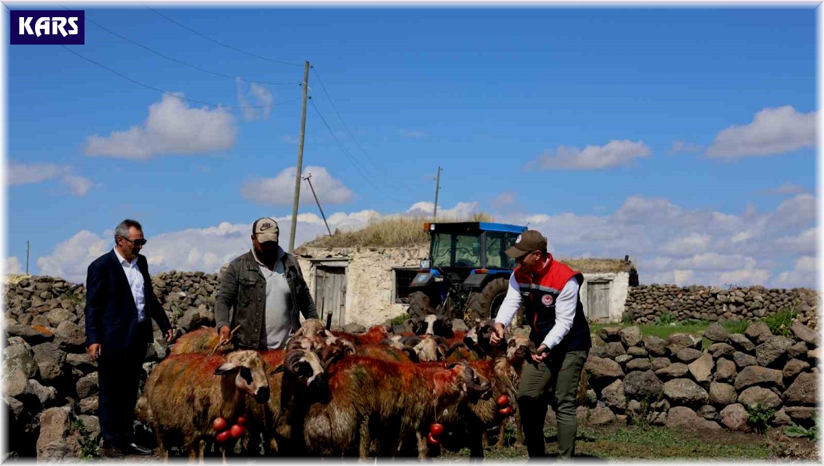 Kars'ta koç katımı yapıldı