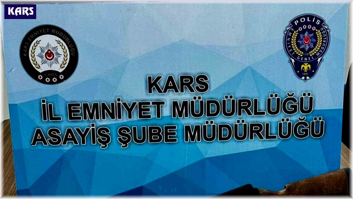 Kars'ta pala ve çok sayıda silah ele geçirildi