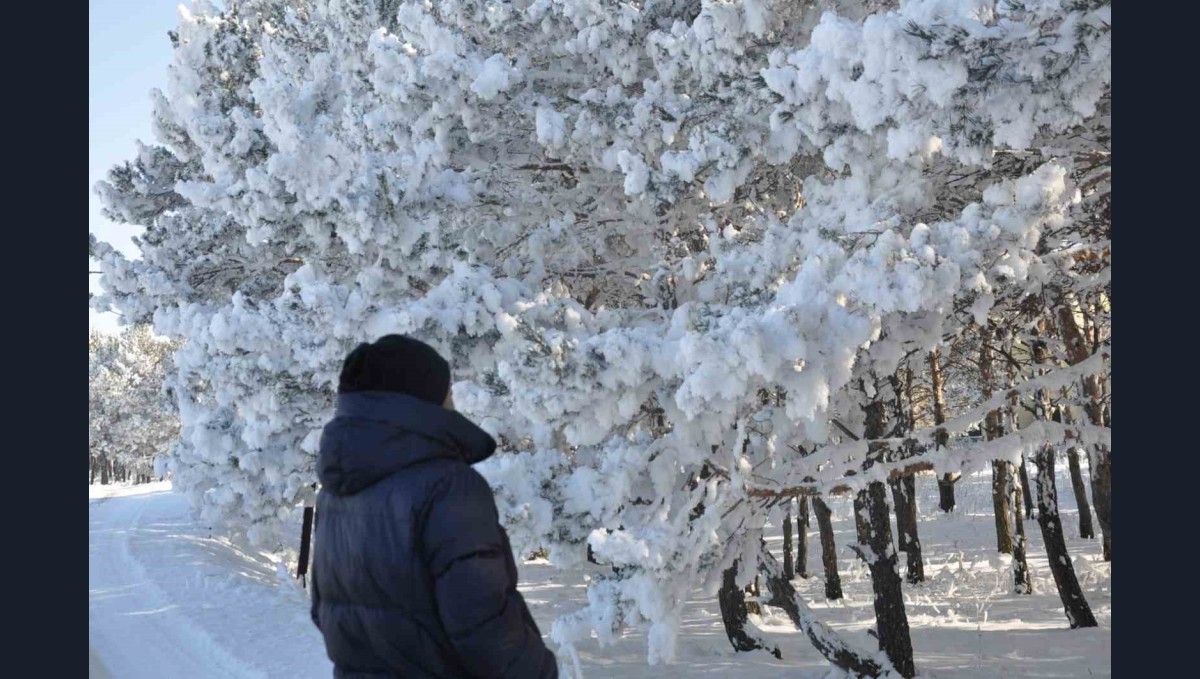 Kars'ta soğuk hava etkisini gösterdi