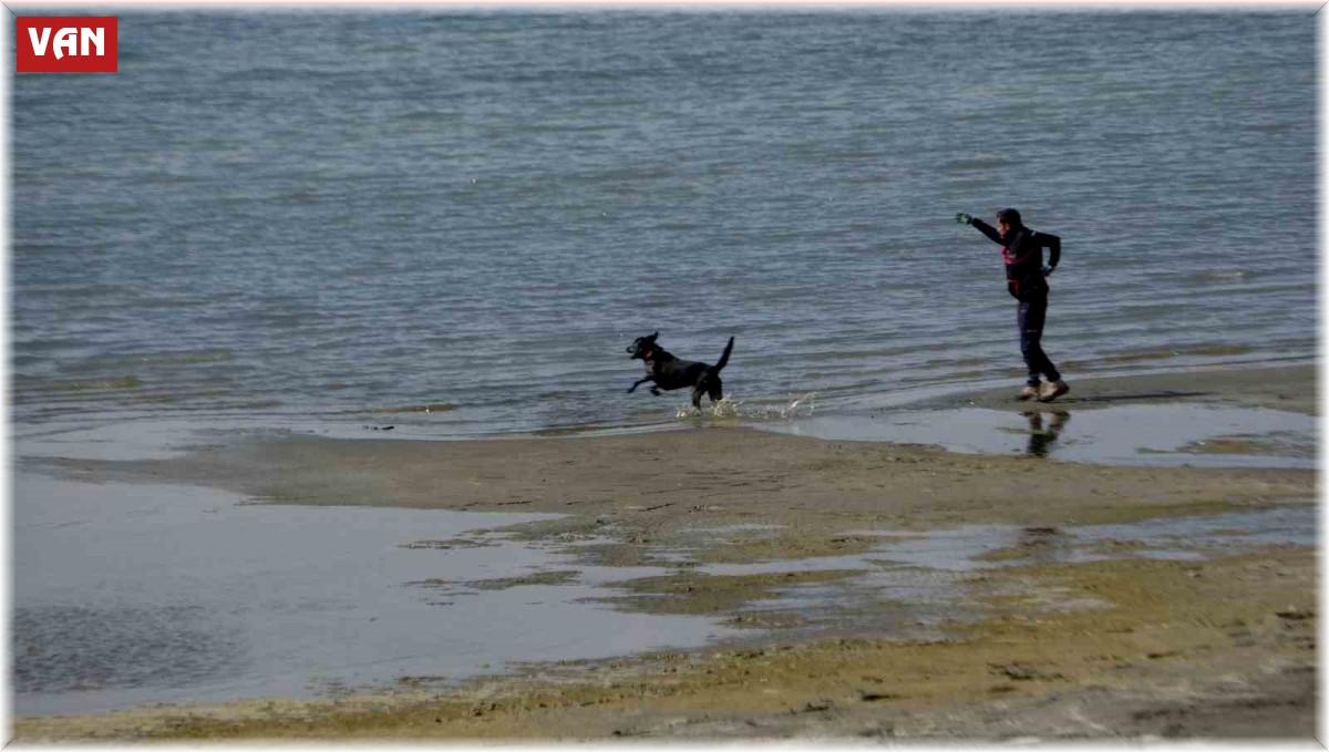 Kayıp öğrenci Rojin için AFAD'dan köpekli arama