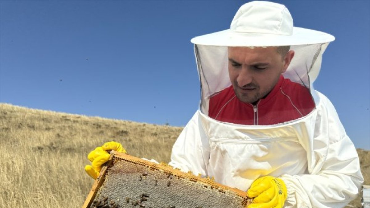 Kızılay'ın arıları ihtiyaç sahiplerine 'şifa ve iyilik' getiriyor