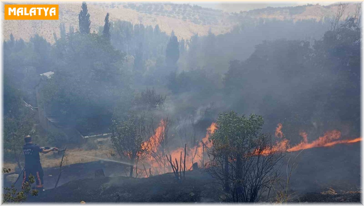 Malatya'da bahçelik alanda korkutan yangın