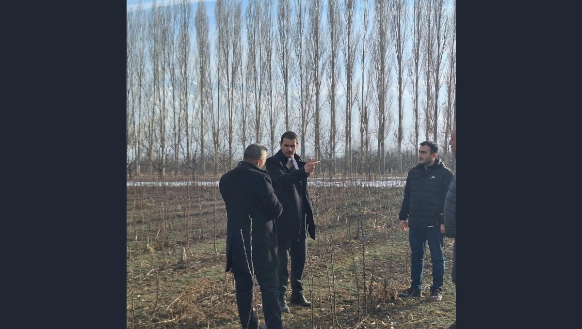 Meyve fidanları baharın gelmesiyle çiftçilerle buluşturulacak