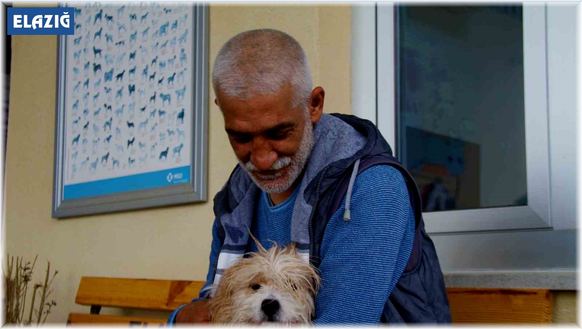 Muğla'da çalınan köpek, çipi sayesinde Elazığ'da bulunarak sahibine teslim edildi