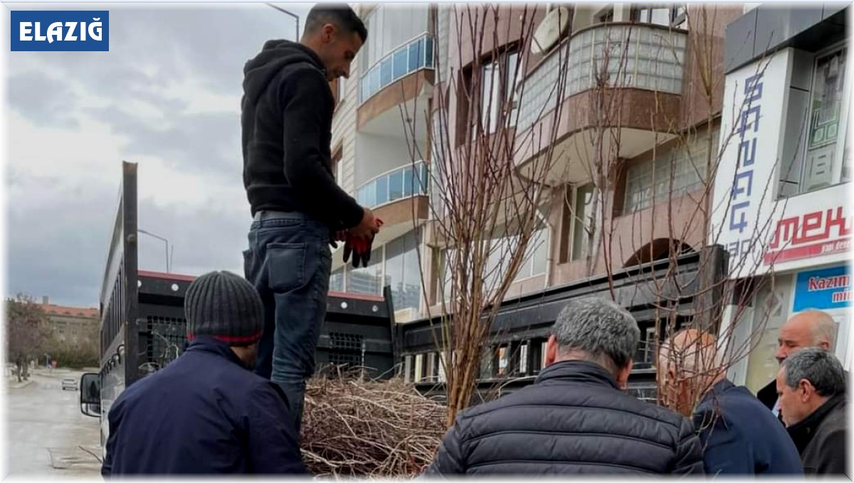 Muhtar adayı broşüryerine fidan dağıttı