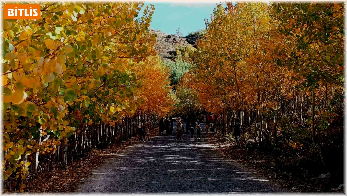 Nemrut Kalderası'nda sonbahar güzelliği