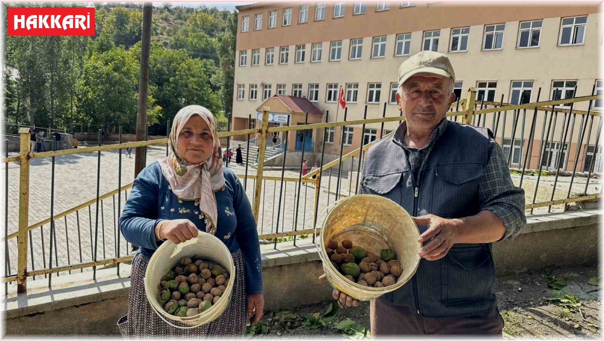 Okul yolunda ceviz ikramı