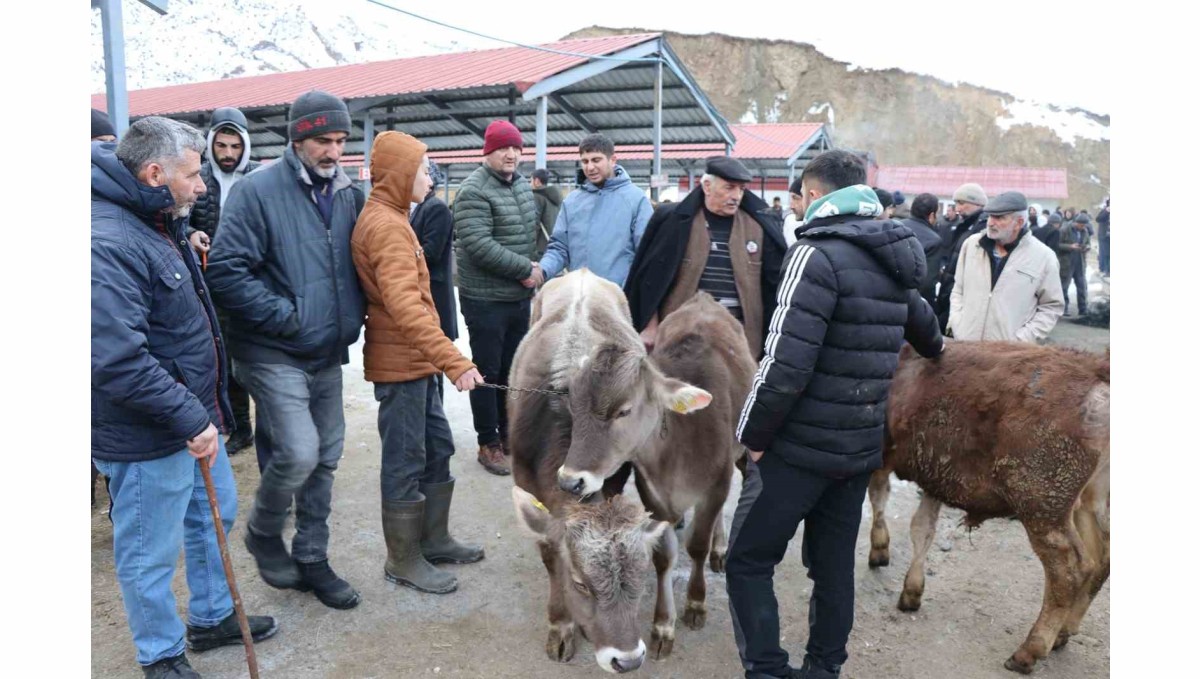 Oltu'daki hayvan pazarı yeniden açıldı