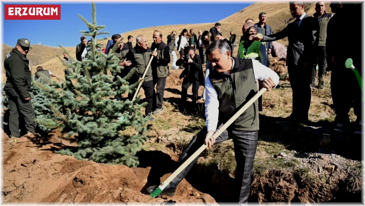 Palandöken'de 60 bin fidan toprakla buluştu