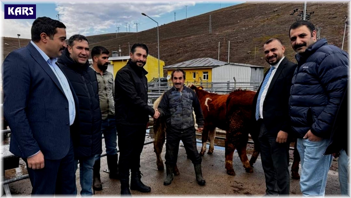 Sarıkamış Belediye Başkanı Serdar Kılıç, Hayvan Pazarında incelemelerde bulundu