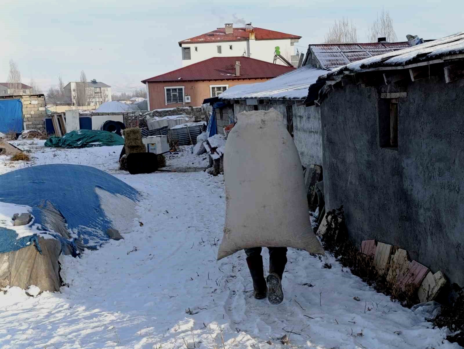 Sibirya soğukları Ağrı'da yaşamı felç etti