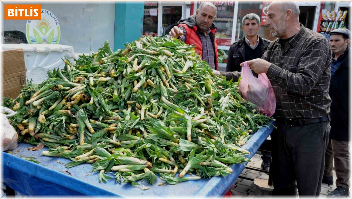 Şifa kaynağı 'Çiriş' otu tezgahlardaki yerini aldı