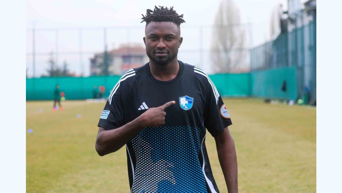 Sylla Cheickne Erzurumspor'da