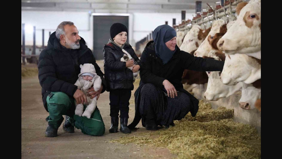 TKDK'dan aldığı destekle ülkesine dönüp çiftlik kurdu, 432 ton süt üretiyor