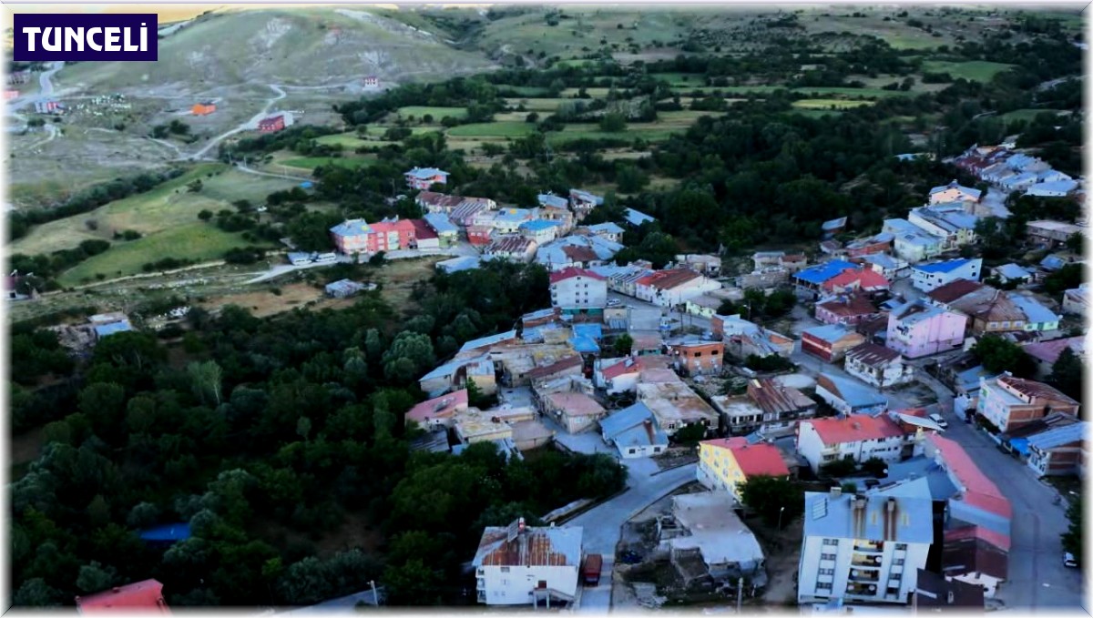 Tunceli'de 2 çocuğa cinsel istismarda bulunduğu iddia edilen şahıs tutuklandı