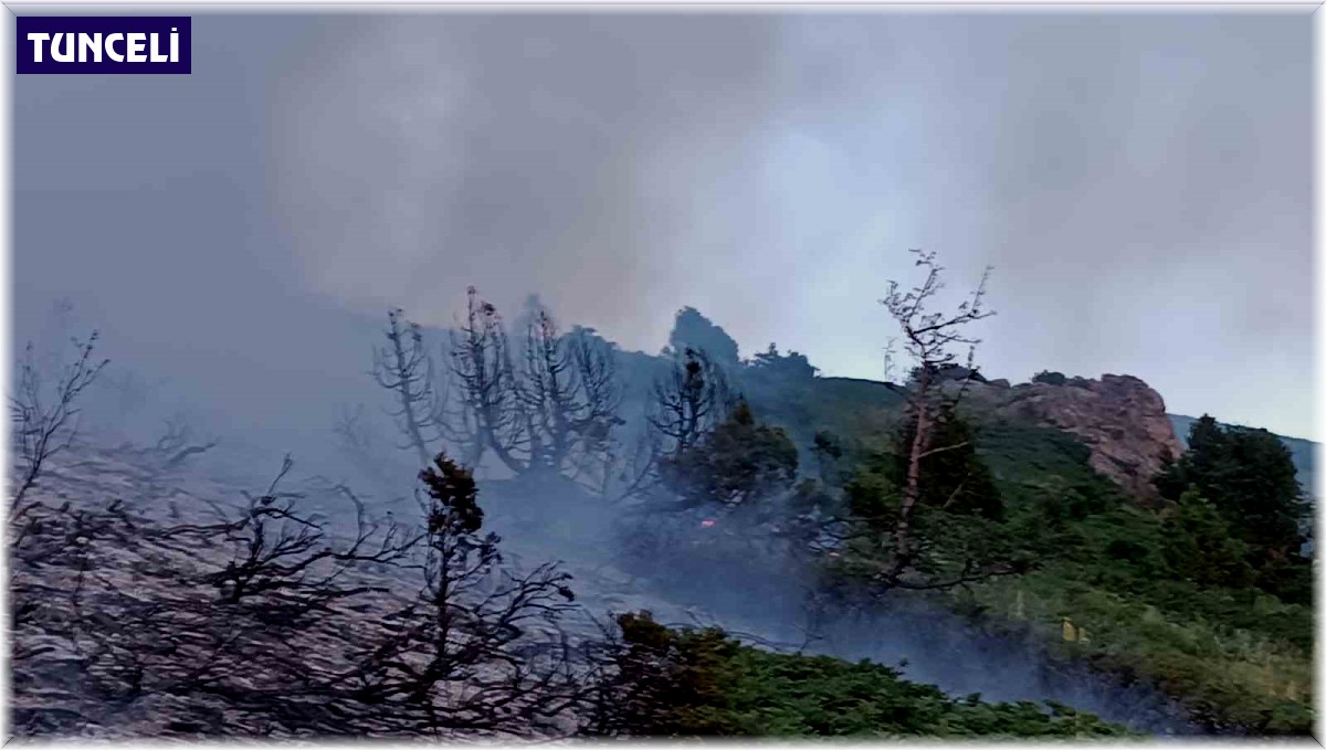 Tunceli'de ağaçlık alanda yangın