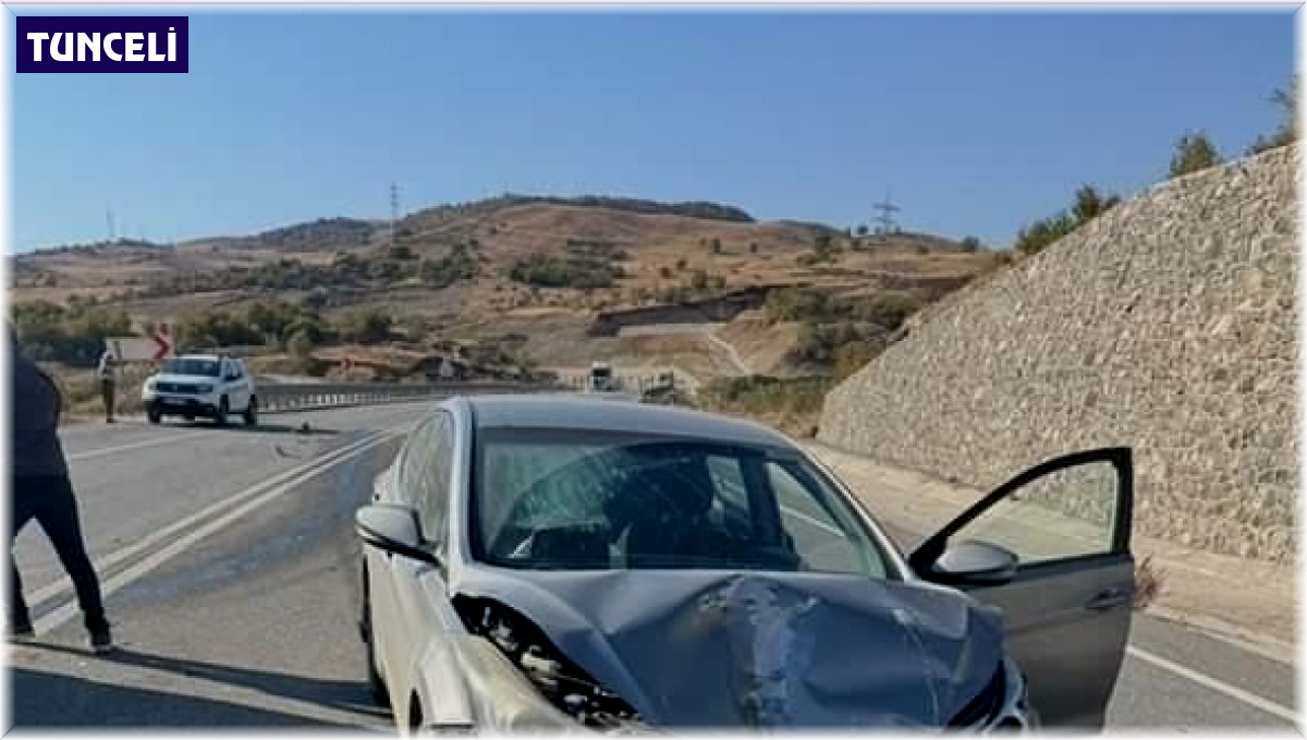 Tunceli'de trafik kazası: 4 yaralı