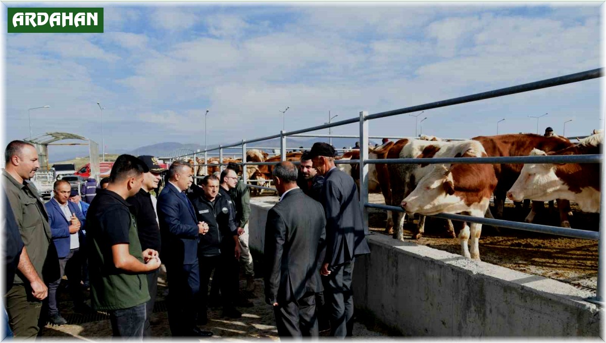 Vali Çiçek, Ardahan hayvan pazarında incelemelerde bulundu