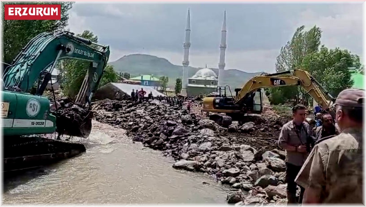 Vali Mustafa Çiftçi, Tekman'da sel yaşanan mahallelerde incelemelerde bulundu