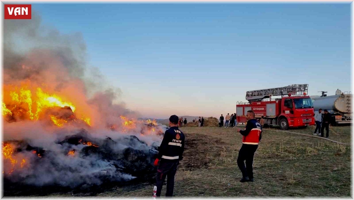 Van'da 9 bin bağ ot yandı