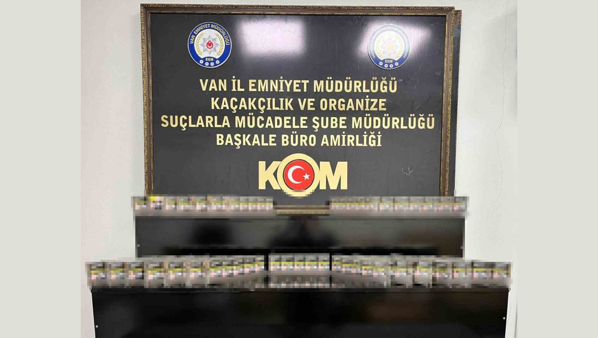 Van'da gümrük kaçakçılığı operasyonu