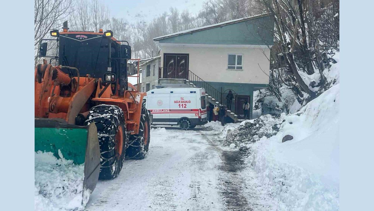 Van'da hasta kurtarma operasyonu