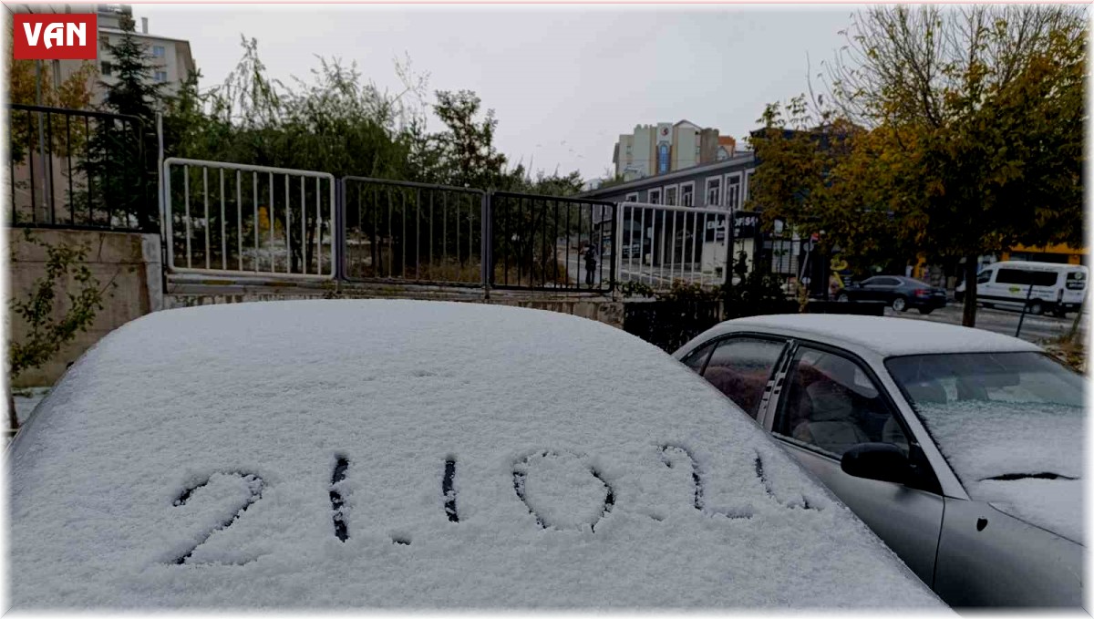 Van'da her yer beyaza büründü