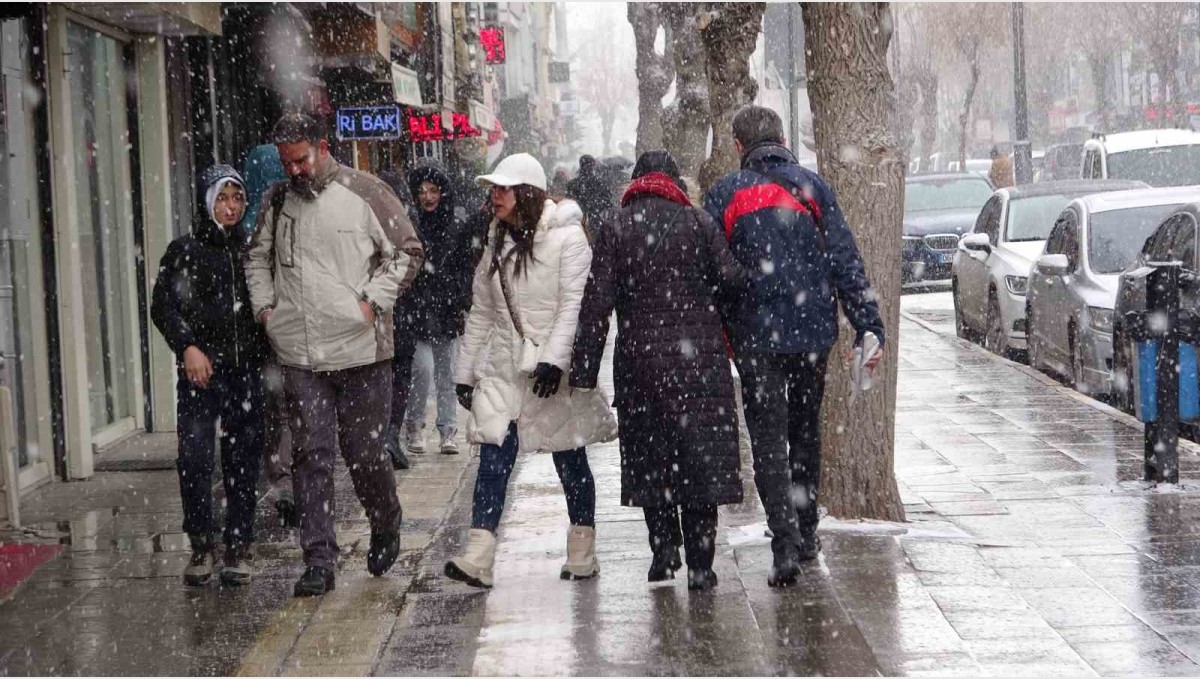 Van'da kar yağışı hayatı olumsuz etkiledi