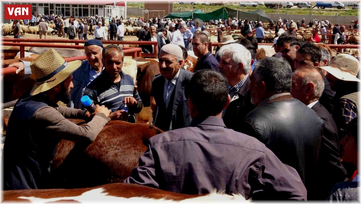 Van'da kurban pazarlarında sıkı pazarlıklar başladı