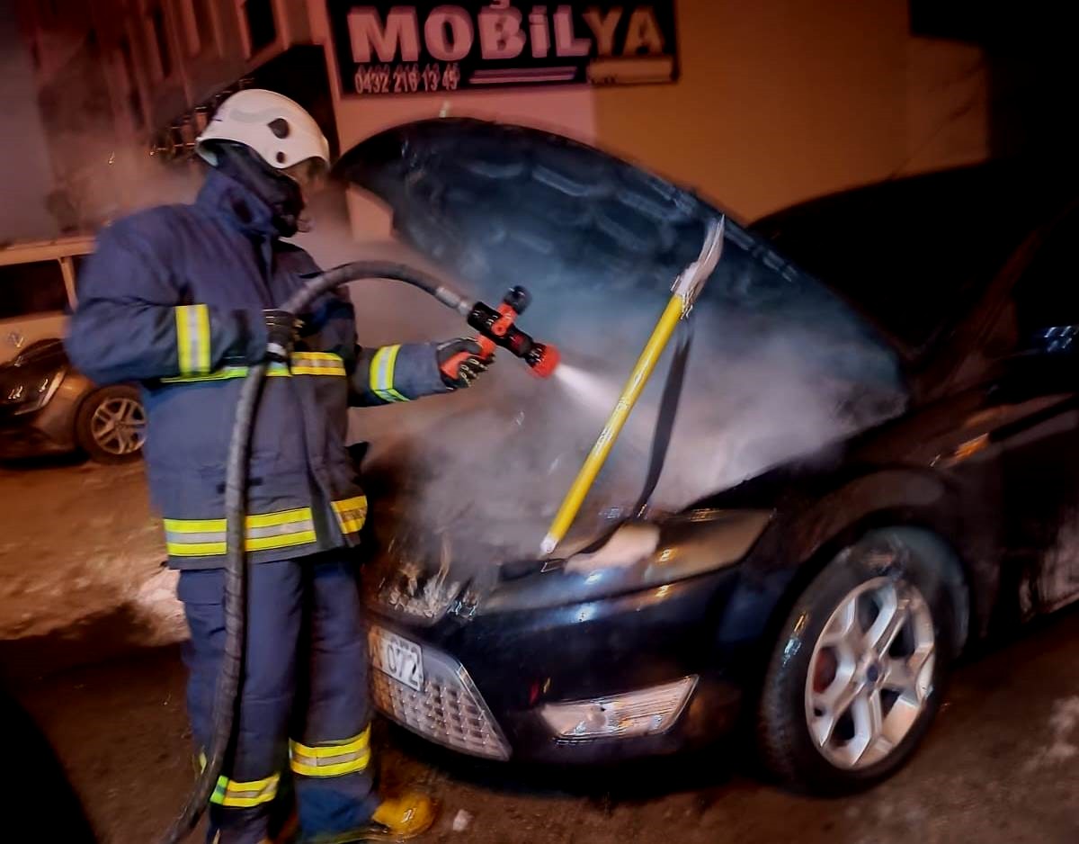 Van'da park halindeki otomobilde yangın