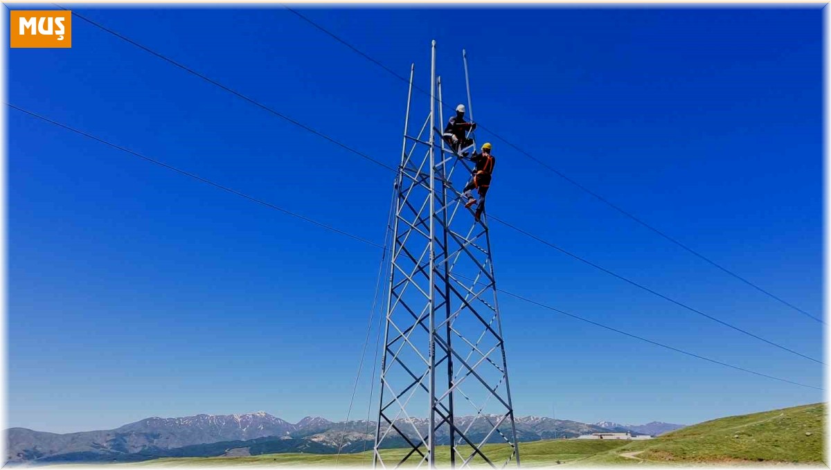 VEDAŞ, elektrik şebekesini güçlendiriyor