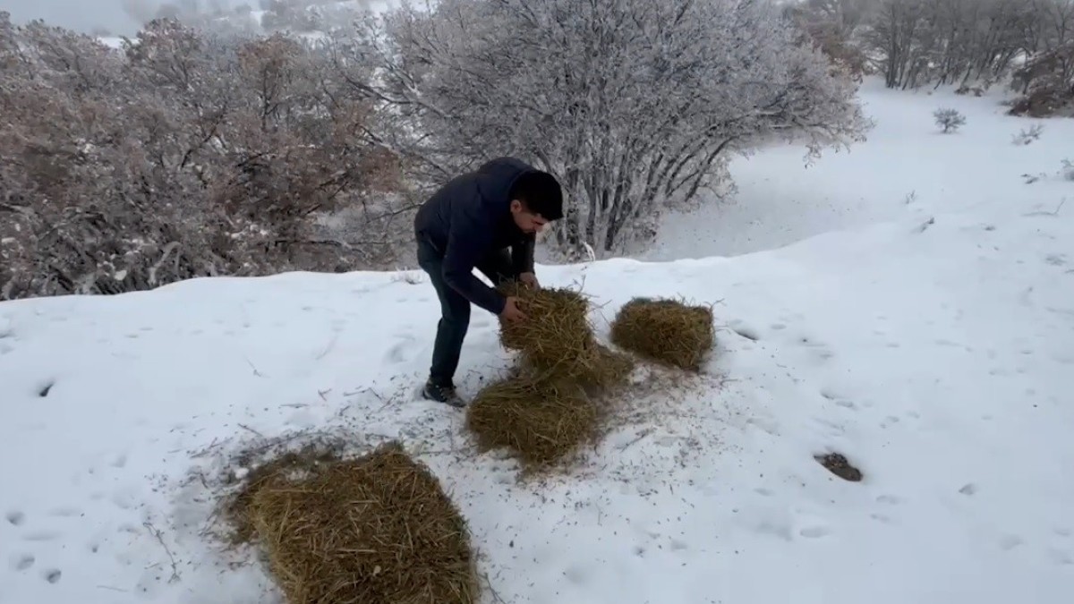 Yaban hayvanları için doğaya yem bırakıldı