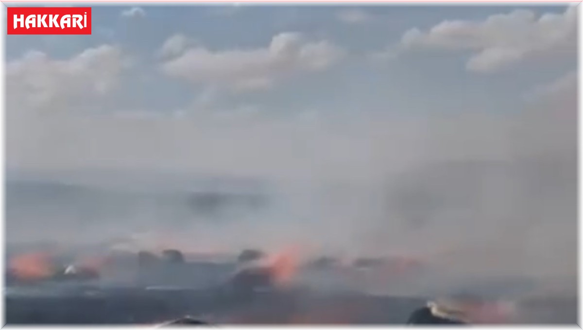 Yüksekova'da çıkan arazi yangını korkuttu