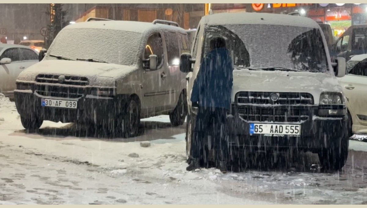 Yüksekova'da lapa lapa kar yağışı başladı