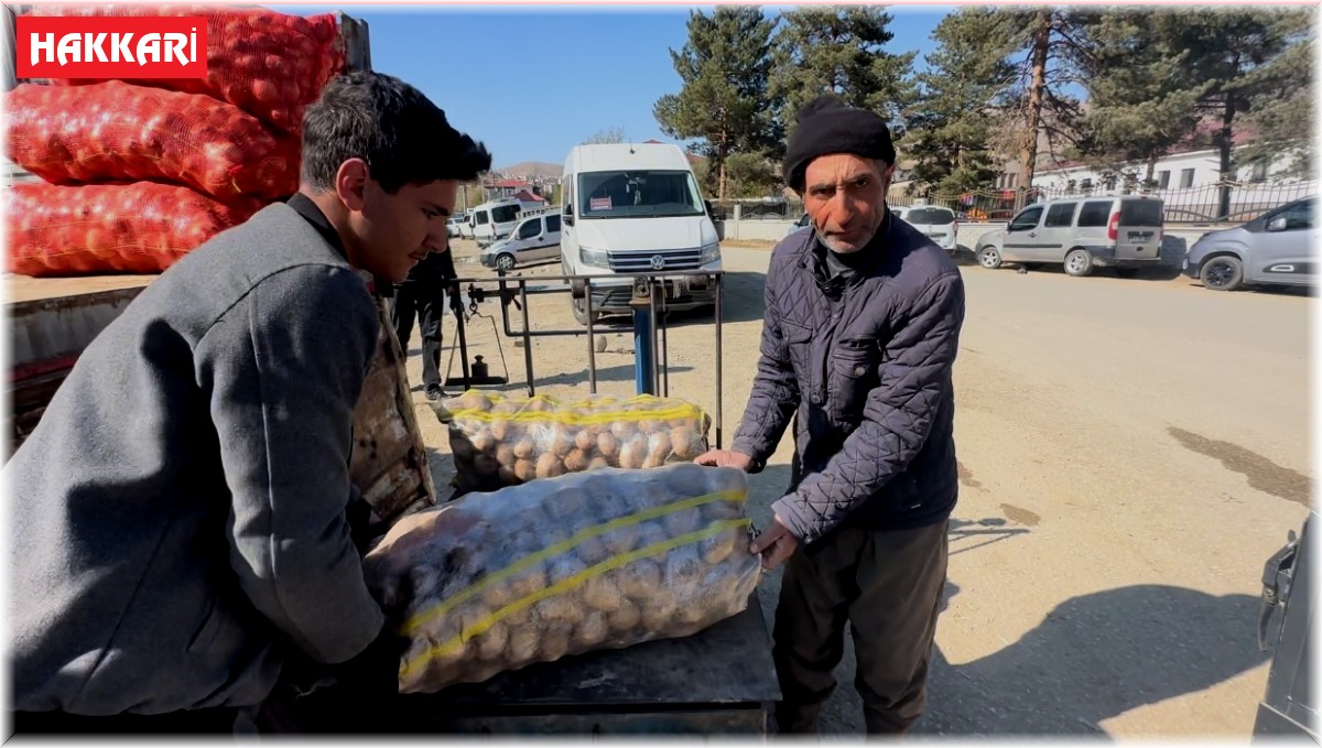 Yüksekova'da patates satışları başladı