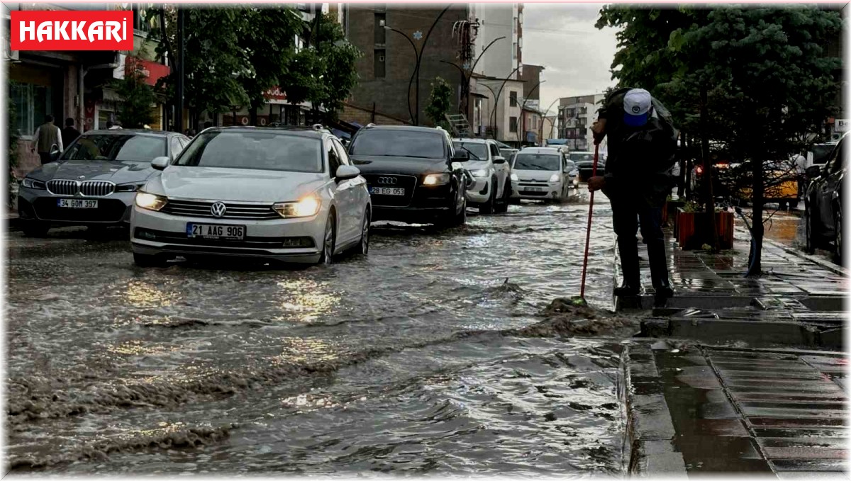 Yüksekova'da yollar göle döndü