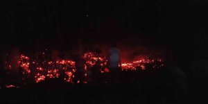 Elazığ'da tarlada çıkan yangını köylüler söndürdü