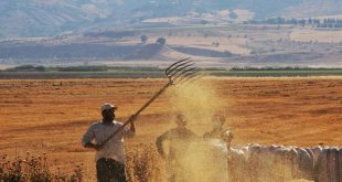 Tarımsal girdi fiyat endeksi yıllık yüzde 27,70, aylık yüzde 3,46 arttı