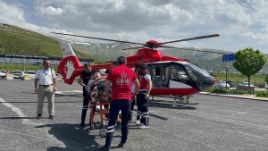 Arıların soktuğu hasta ambulans helikopterle Tatvan'a sevk edildi