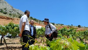 'Türkiye'de Tarıma Dayalı Sanayi'de Rekabet Gücünün Artırılması Projesi' faaliyetleri başladı